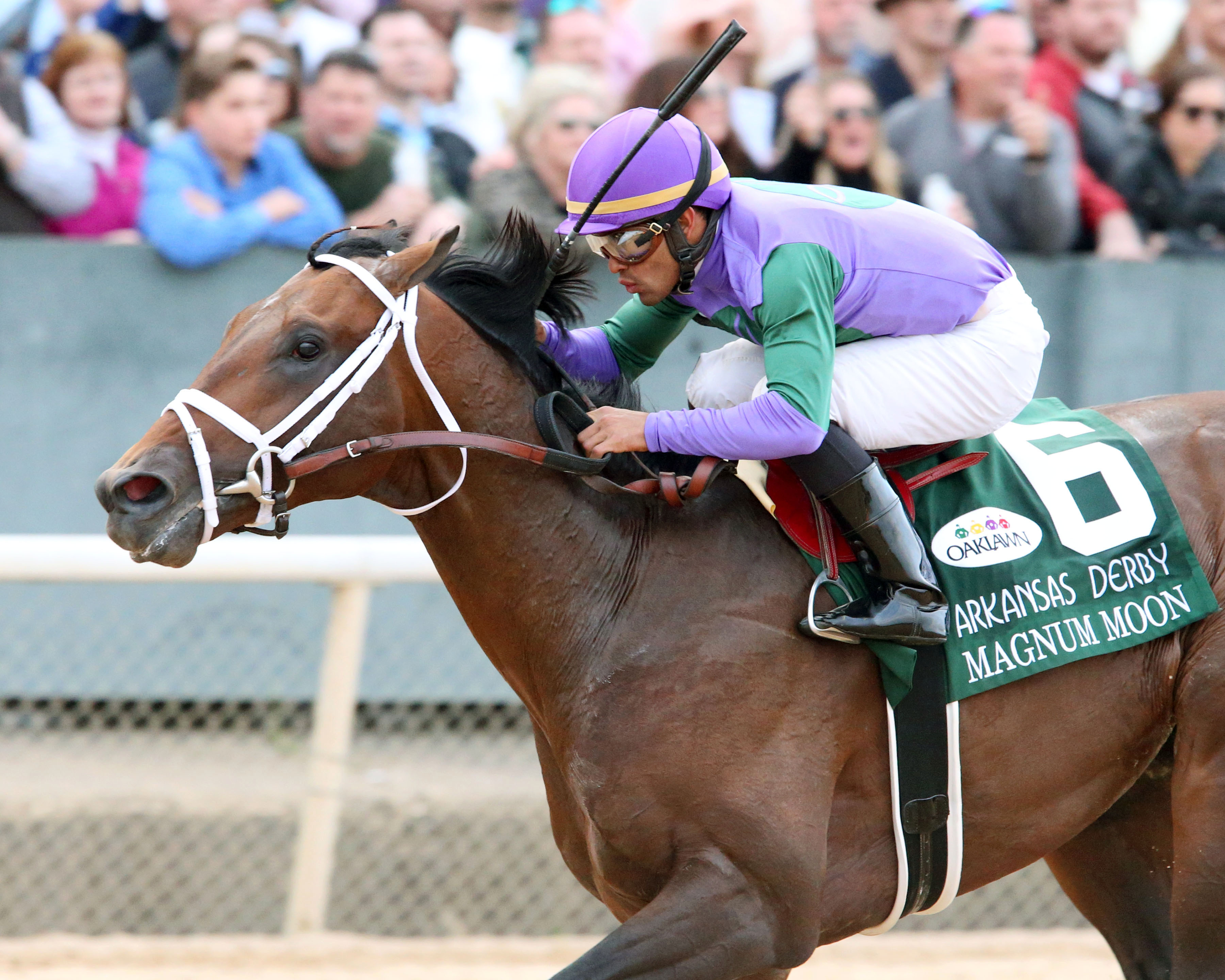 Trackside View » Oaklawn Barn Notes Undefeated Arkansas Derby Winner