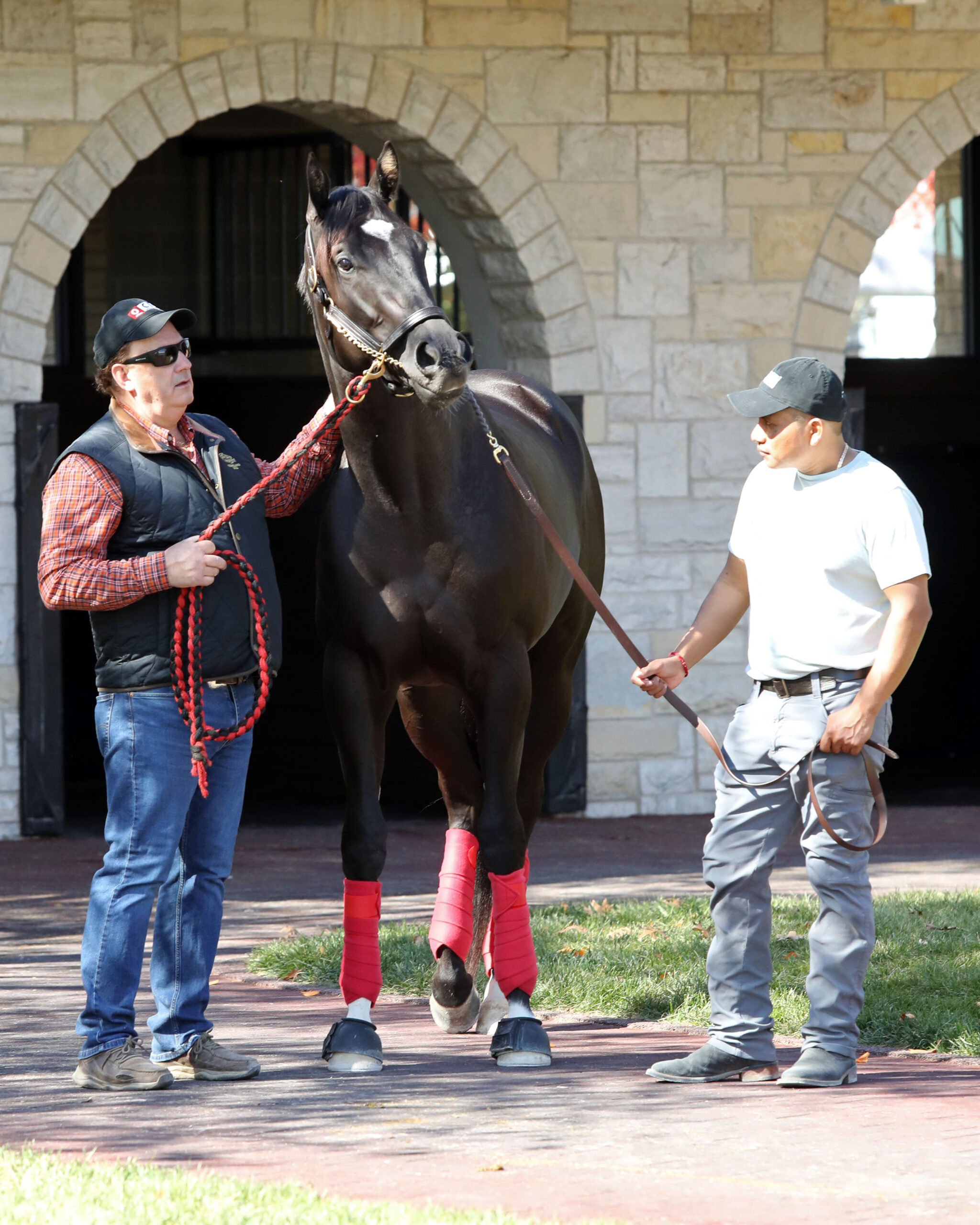 Trackside View » OAKLAWN TYLER’S TRIBE FAVORED IN OPENING DAY ADVENT