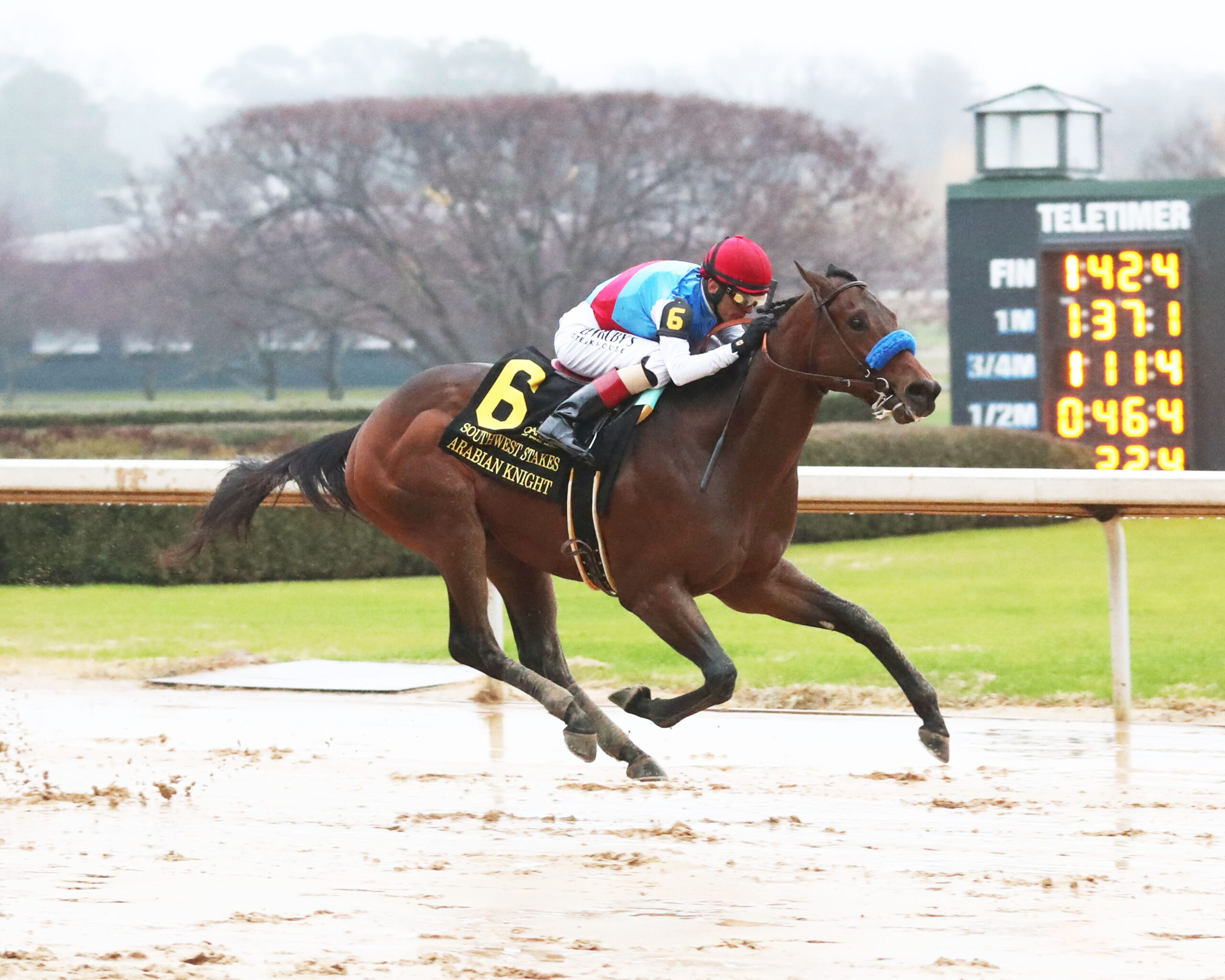 Trackside View » Oaklawn Barn Notes Arabian Knight Impressive in Southwest Stakes Victory