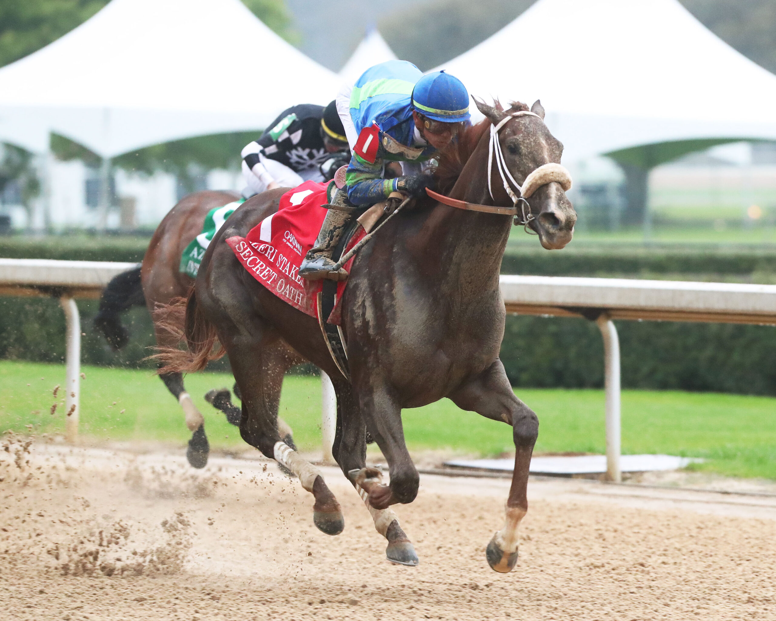 Trackside View » OAKLAWN SECRET OATH IMPRESSIVE IN SATURDAY’S AZERI