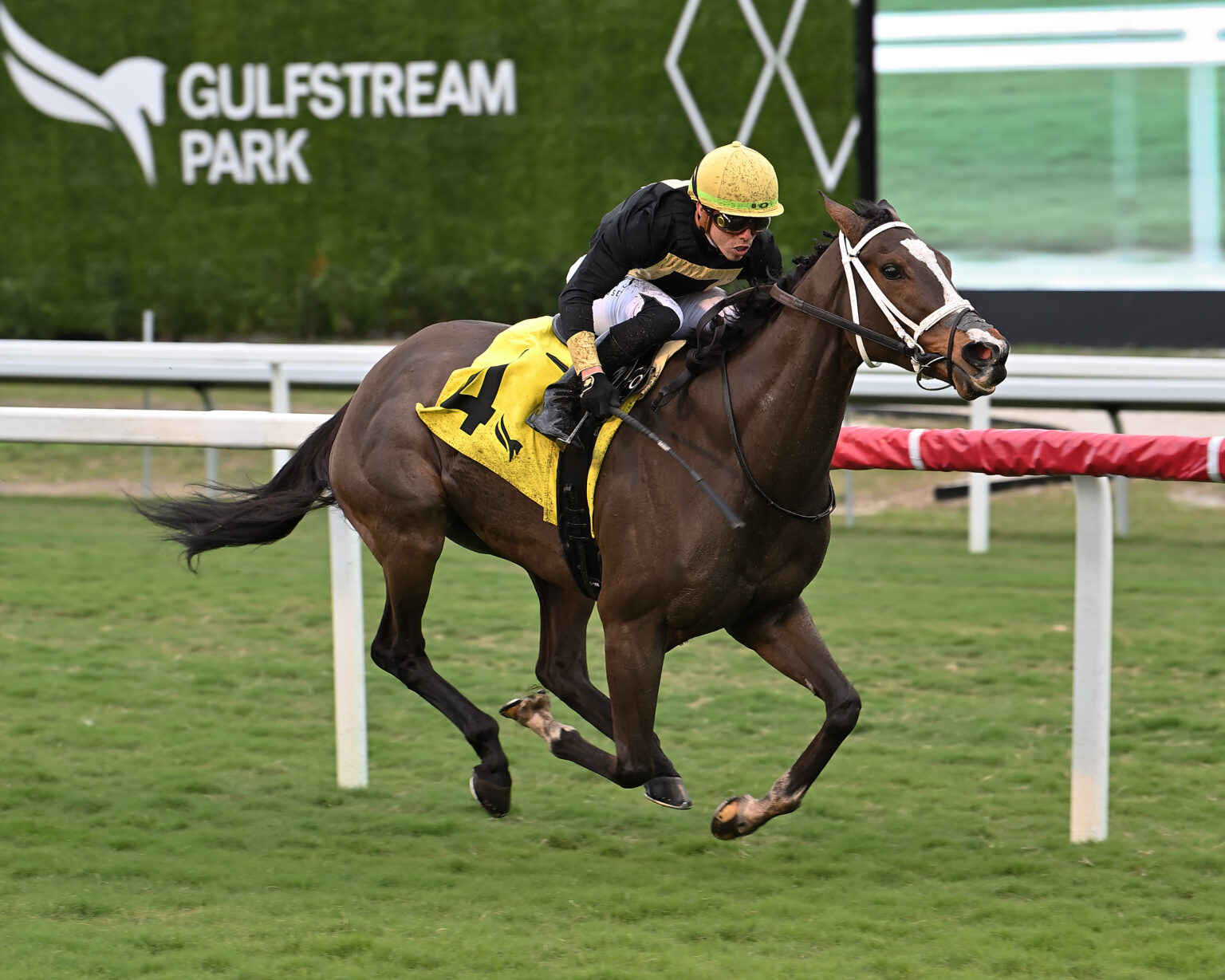 Trackside View » Pegasus World Cup Maryland Champ Russell has Full